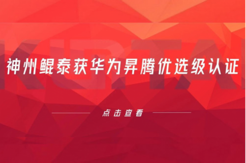 持续进阶，金年会获华为昇腾优选级认证